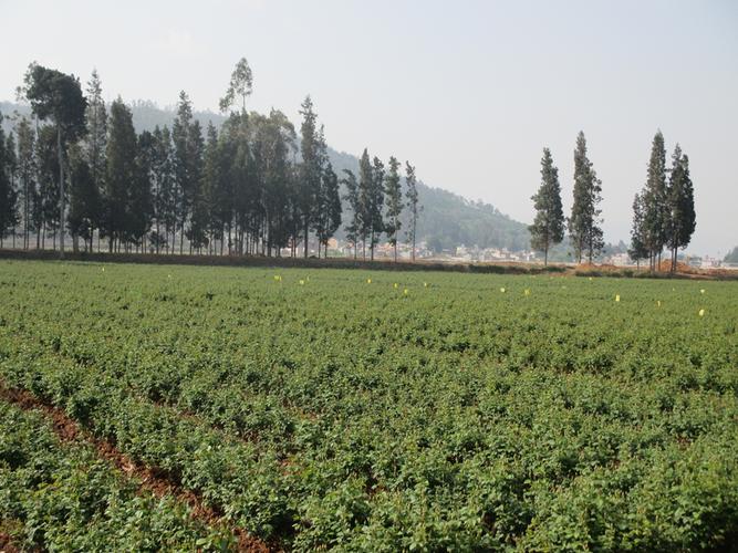 云南某农业公司微生物有机肥料,烟碱,蛋白提取项目融资1000万-1.2亿