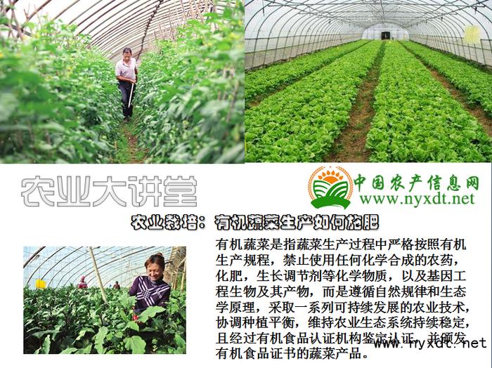 农业栽培:有机蔬菜生产如何施肥