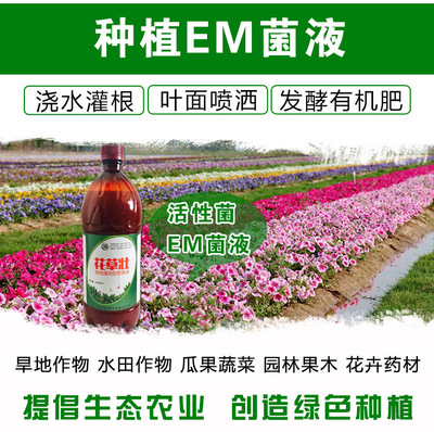 种植em菌液发酵有机肥叶面喷施灌根用啥牌子的发酵剂好